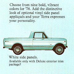 76_IH_Scout_Terra_Pg_5_Flipout_Rear
