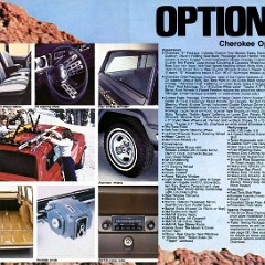 1979_Jeep_Full_Line-15