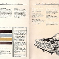 1982_Lincoln_Town_Car-12-13