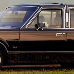 1987_Lincoln_Town_Car_Portfolio-02-03-04