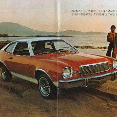 1975_Mercury_Bobcat-06-07