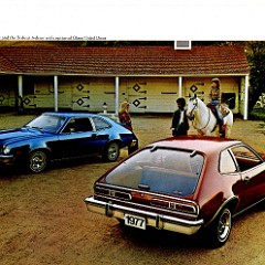 1977_Mercury_Bobcat__amp__Comet-02