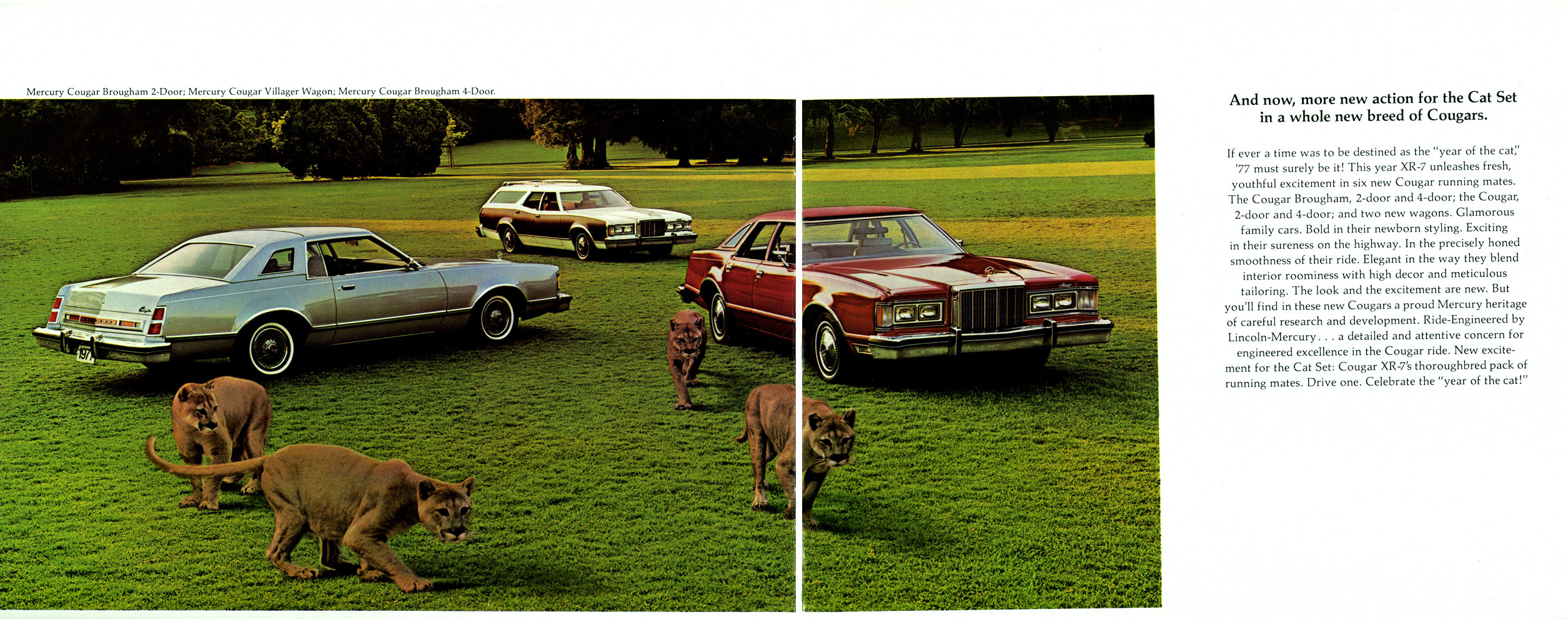 1977_Mercury_Cougar-08-09