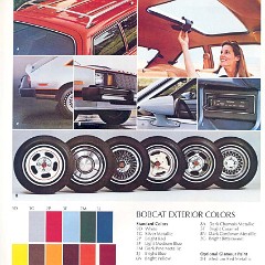 1980_Mercury_Bobcat-06