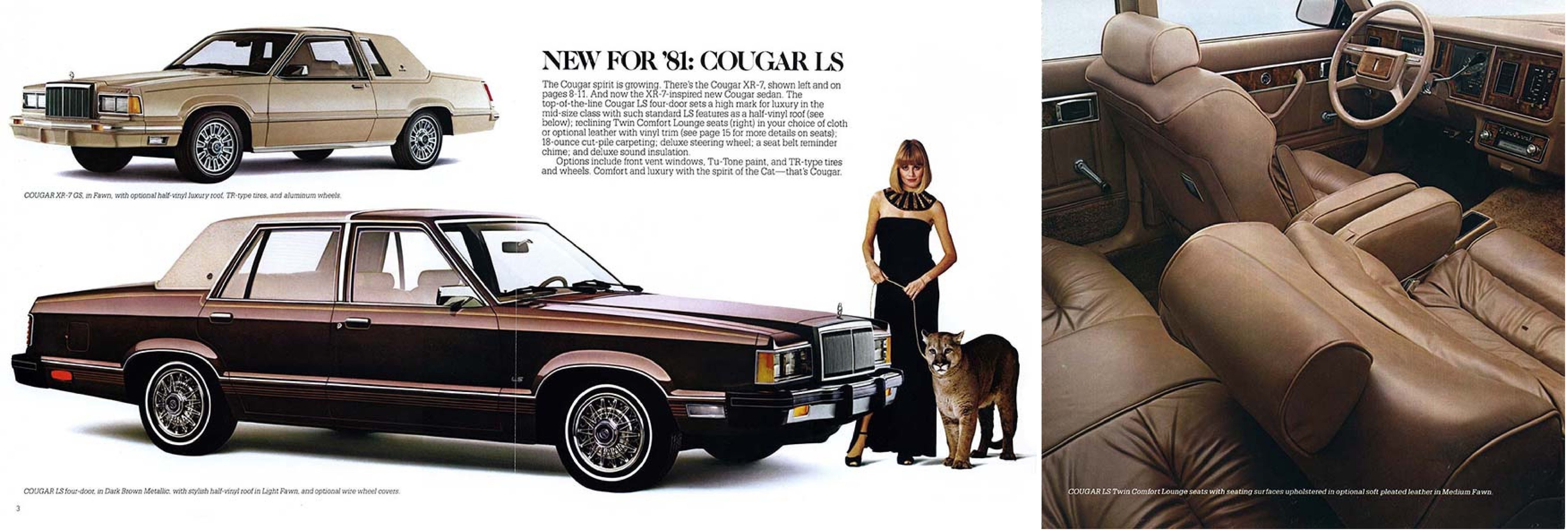 1981 Mercury Cougars (Rev)   03-04-05