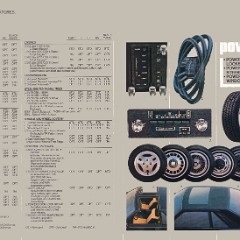 1982_Mercury_Capri-10-11