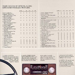 1982_Mercury_Lynx-18