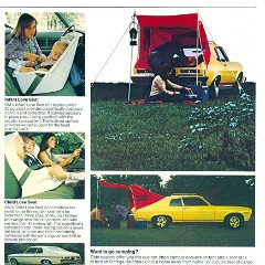 1974_Oldmobile_Omega-07