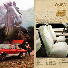 1978_Oldsmobile_Mid-size_and_Compact-22-23