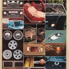 1979_Oldsmobile__Lg_-21