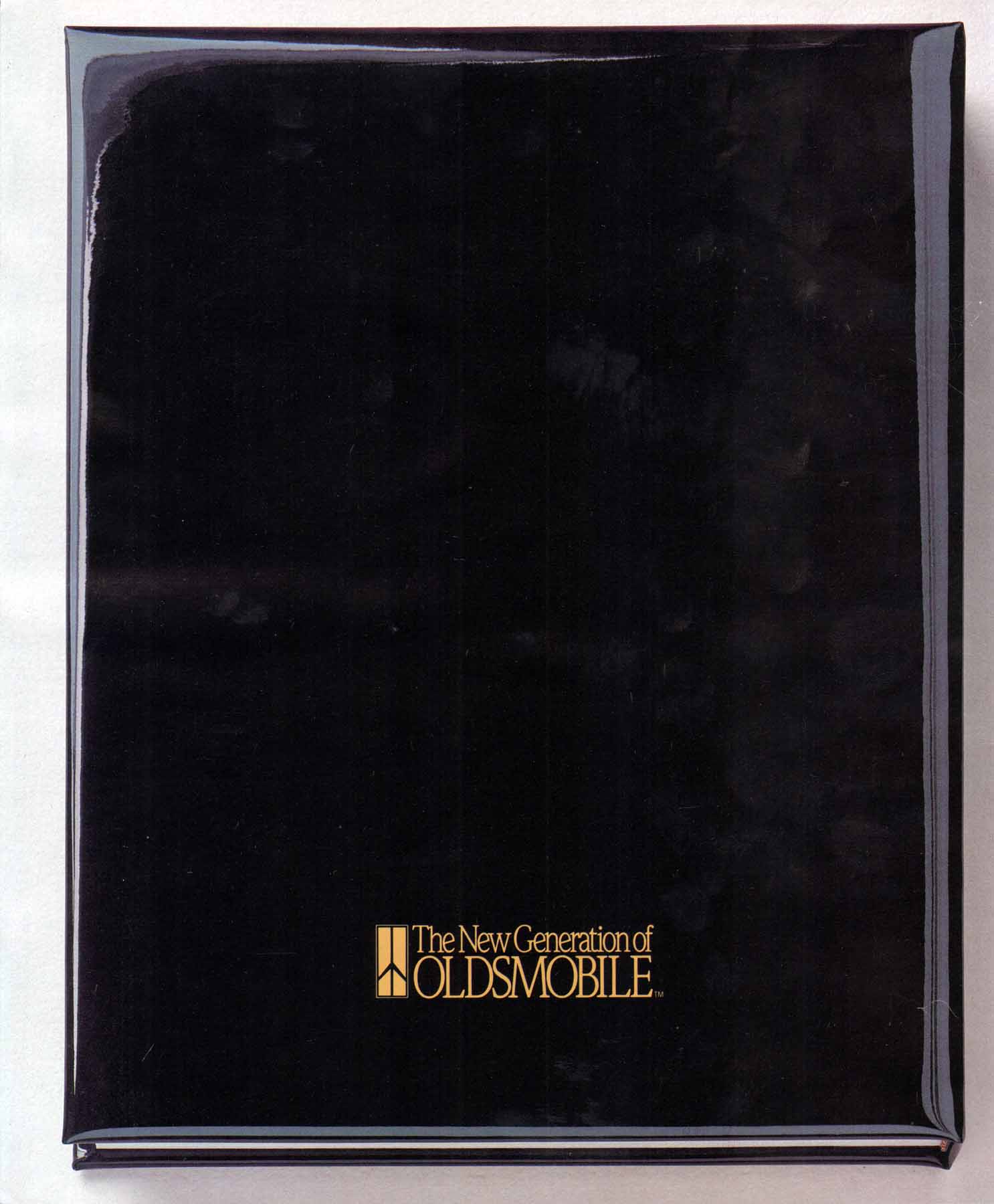 1989_Oldsmobile_Full_Size_Prestige-54