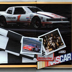 1989_Oldsmobile_Full_Size_Prestige-10-11