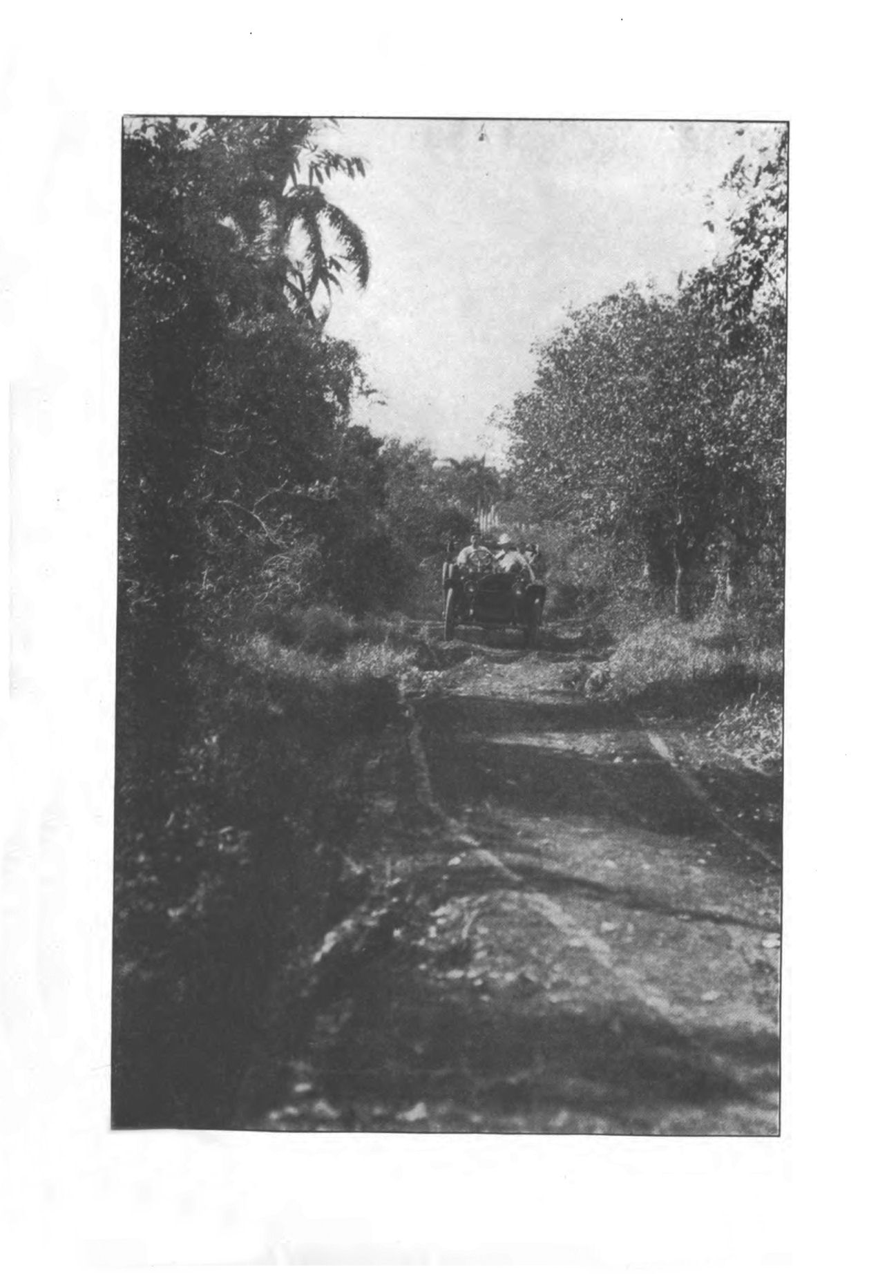 1909_Packard_-_El_Toro-009