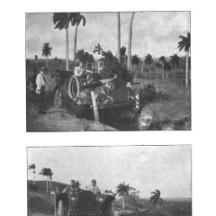 1909_Packard_-_El_Toro-055