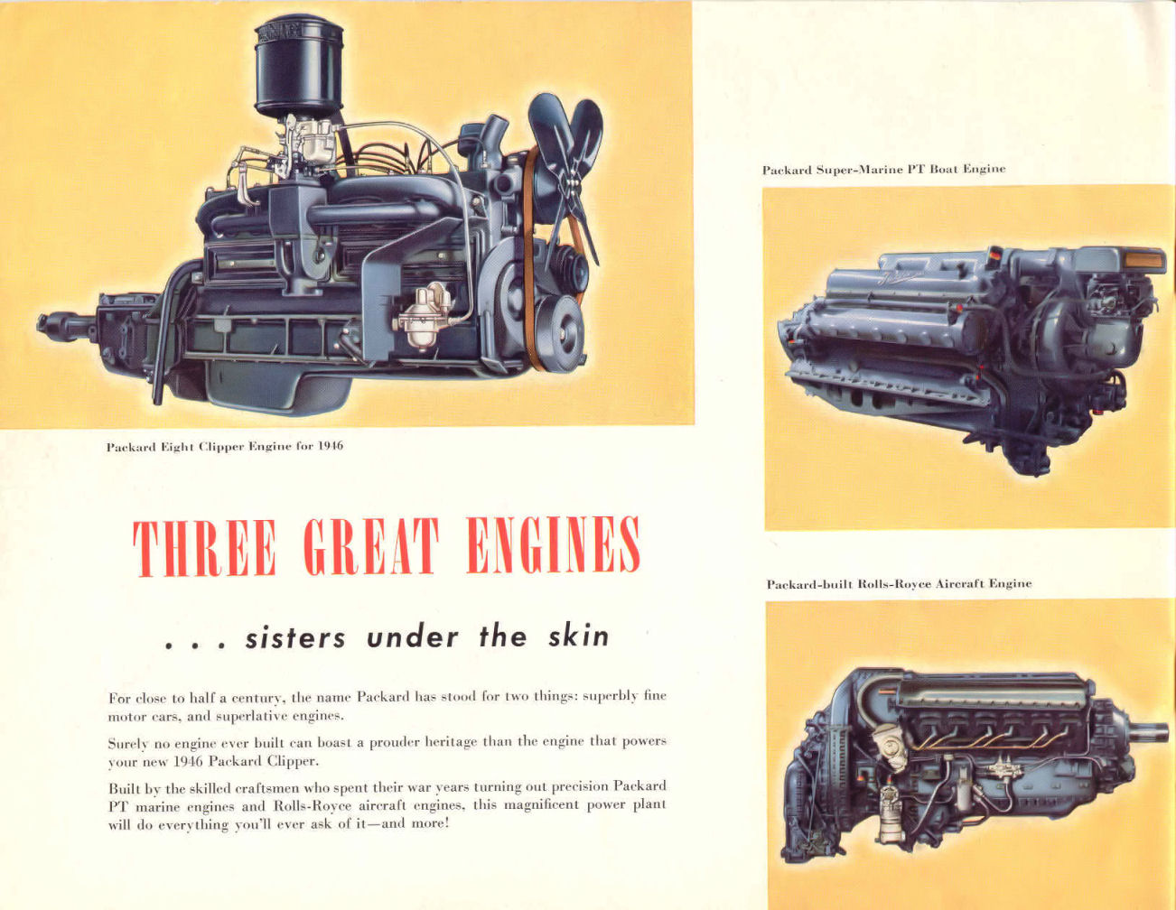 1946_Packard-10