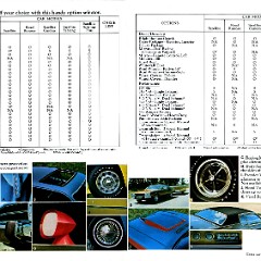 1973_Plymouth_Satellite-18-19