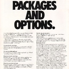 1978_Plymouth_Horizon-12