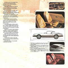 1976_Pontiac_Firebird-05-106382629