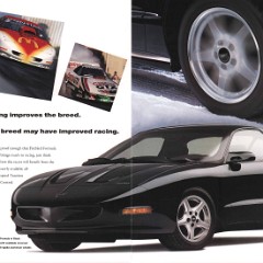 1996_Pontiac_Firebird-06-07