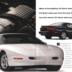 1996_Pontiac_Firebird-10-11