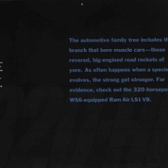 1999_Pontiac_Firebird_Prestige-06