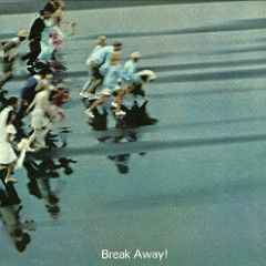 1969_Pontiac_Wagons-16