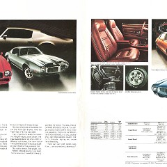 1973_Pontiac_Full_Line-10-11