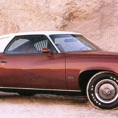 1973 Pontiac 1973 Pontiac