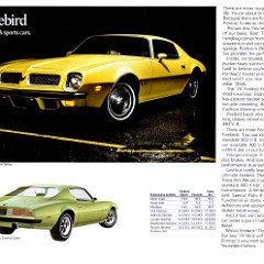 1974_Pontiac_Full_Line-12