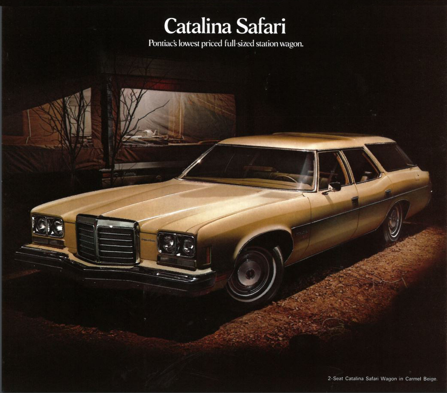 1974_Pontiac_Full_Line_Prestige-22