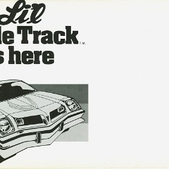 1975-Pontiac-Astre-Lil-Wide-Track-Foldout 1975-Pontiac-Astre-Lil-Wide-Track-Foldout