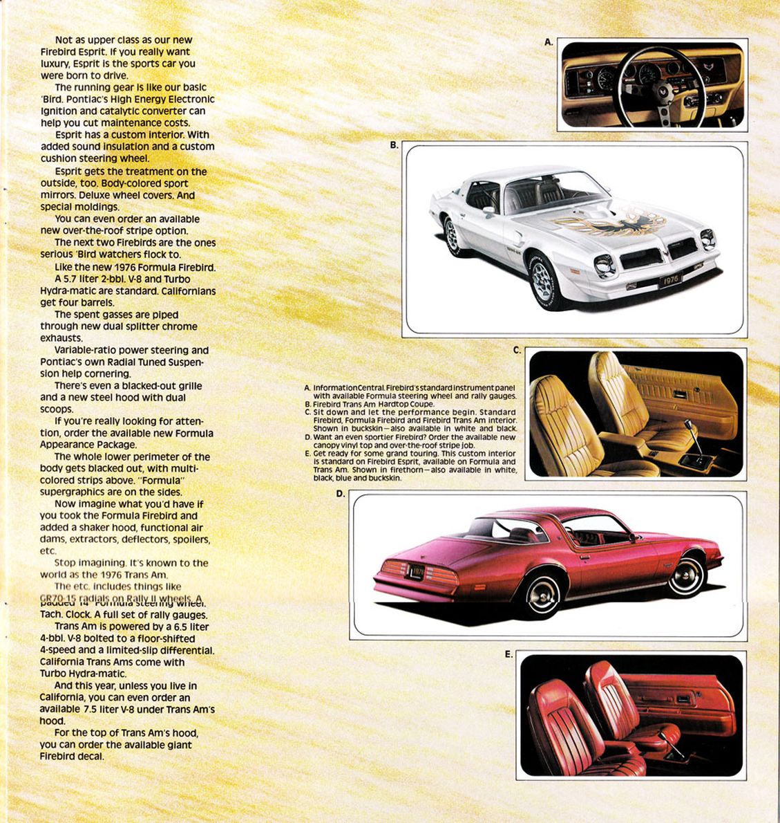 1976_Pontiac_Full_Line-13