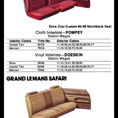 1980_Pontiac_Colors__Interiors-20