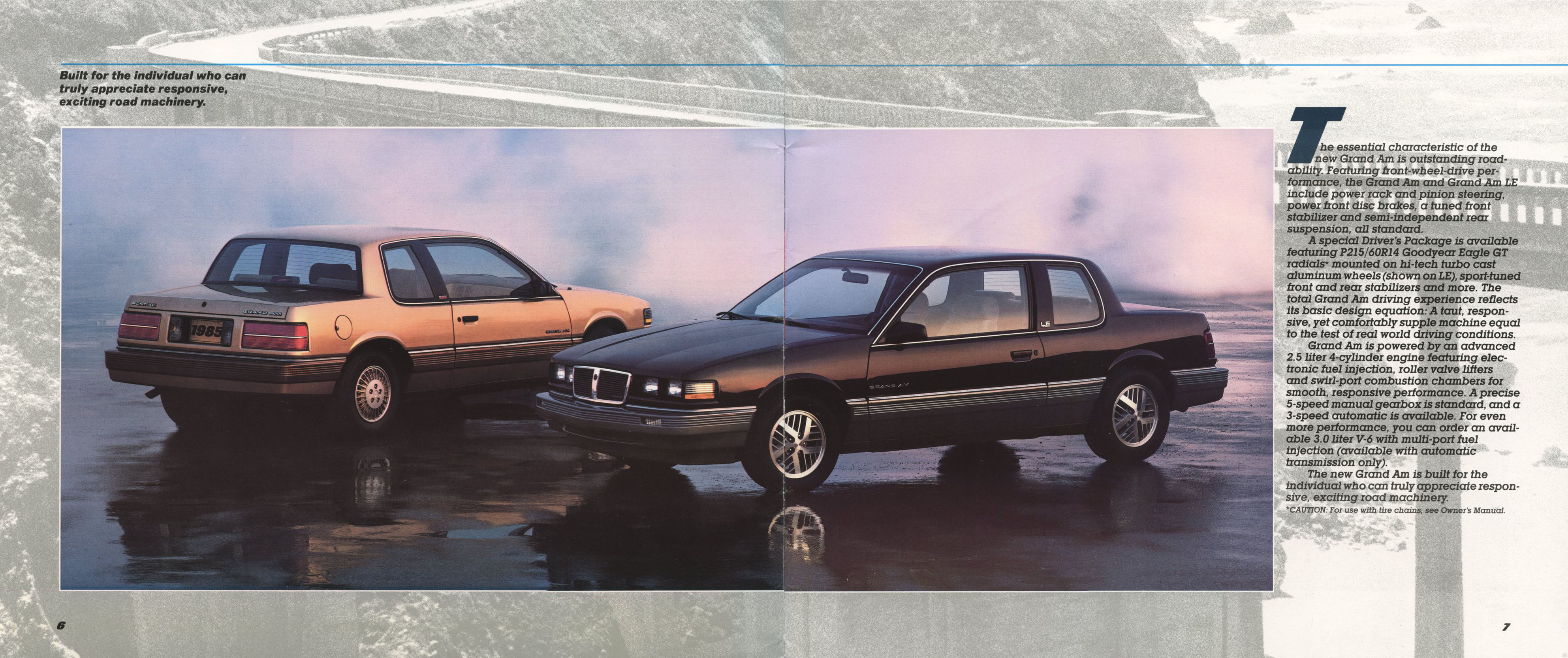 1985 Pontiac Full Line Prestige-06-07