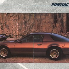1985 Pontiac Full Line Prestige-24-25