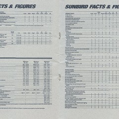 1985 Pontiac Full Line Prestige-66-67